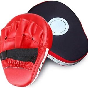Karate Focus Mitts