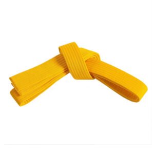Karate Belt
